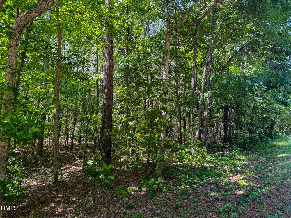 6.68 Ac Orange Grove Road Hillsborough, NC 27278