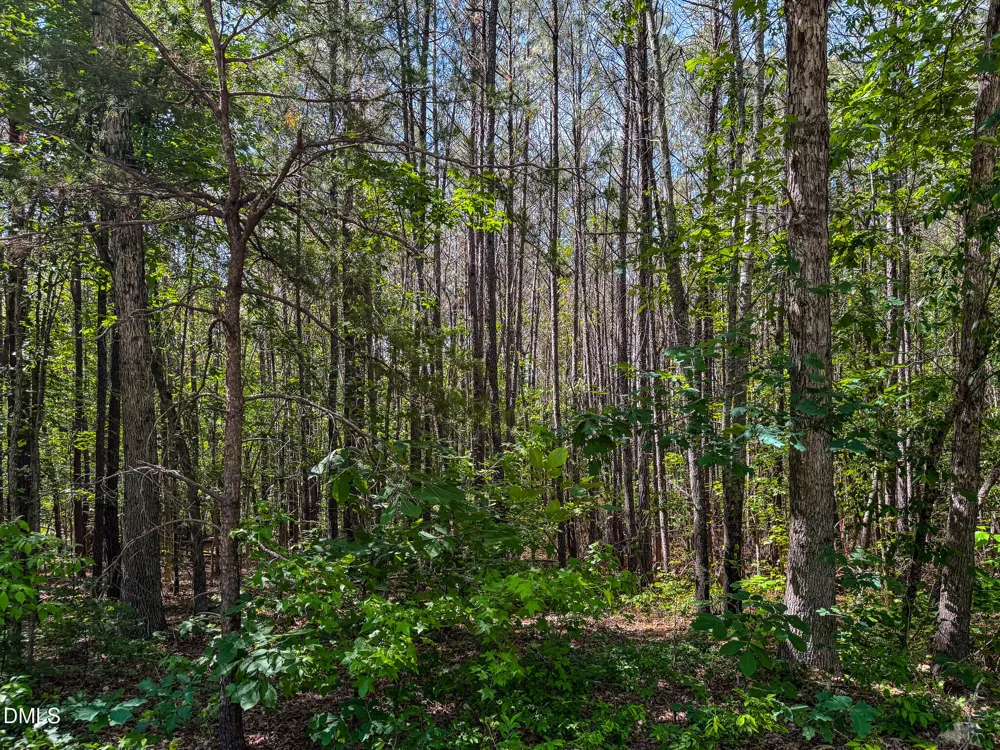 6.68 Ac Orange Grove Road Hillsborough, NC 27278