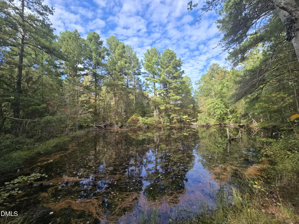 0 Bass Mountain Snow Camp, NC 27349