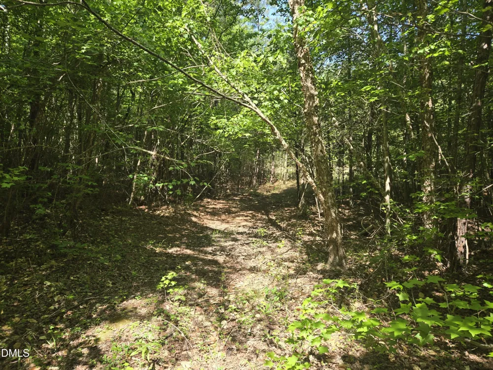 0 Bass Mountain Snow Camp, NC 27349