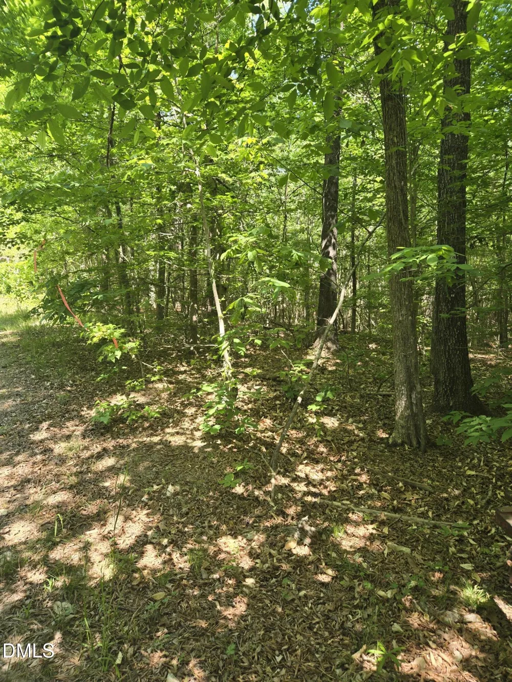0 Bass Mountain Snow Camp, NC 27349