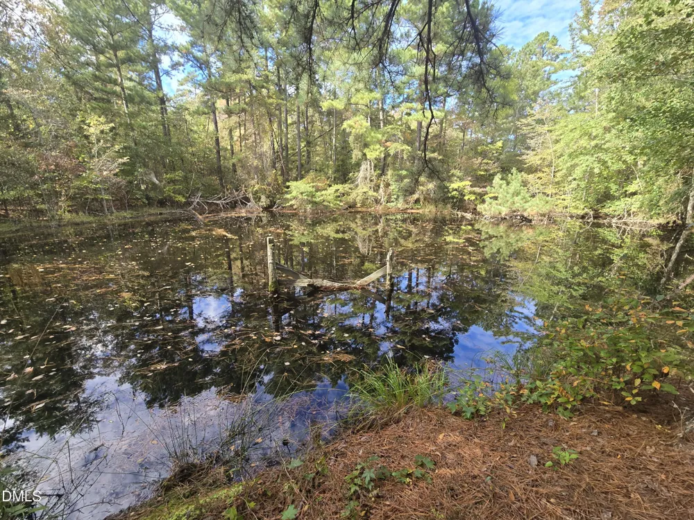 0 Bass Mountain Snow Camp, NC 27349
