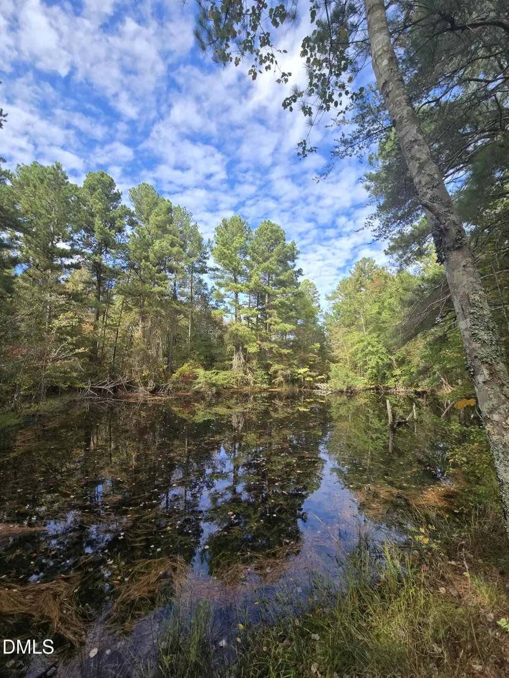 0 Bass Mountain Snow Camp, NC 27349