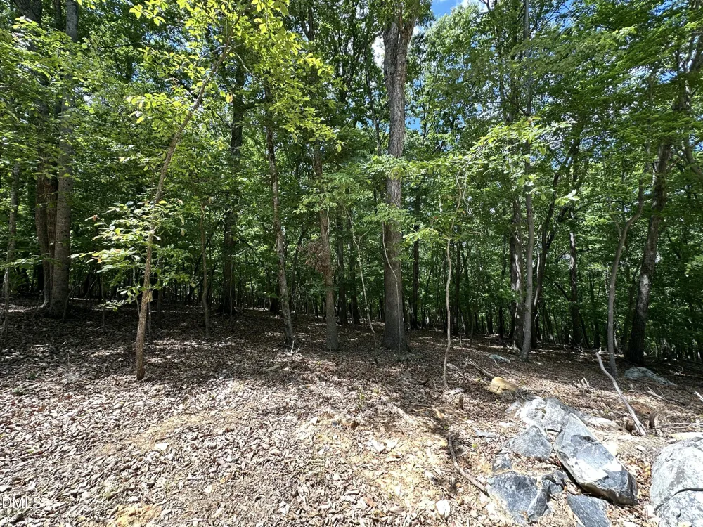 033 Fire Tower Drive Rougemont, NC 27572