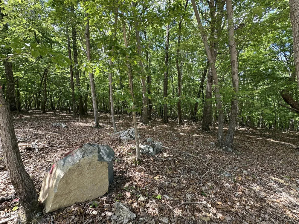033 Fire Tower Drive Rougemont, NC 27572