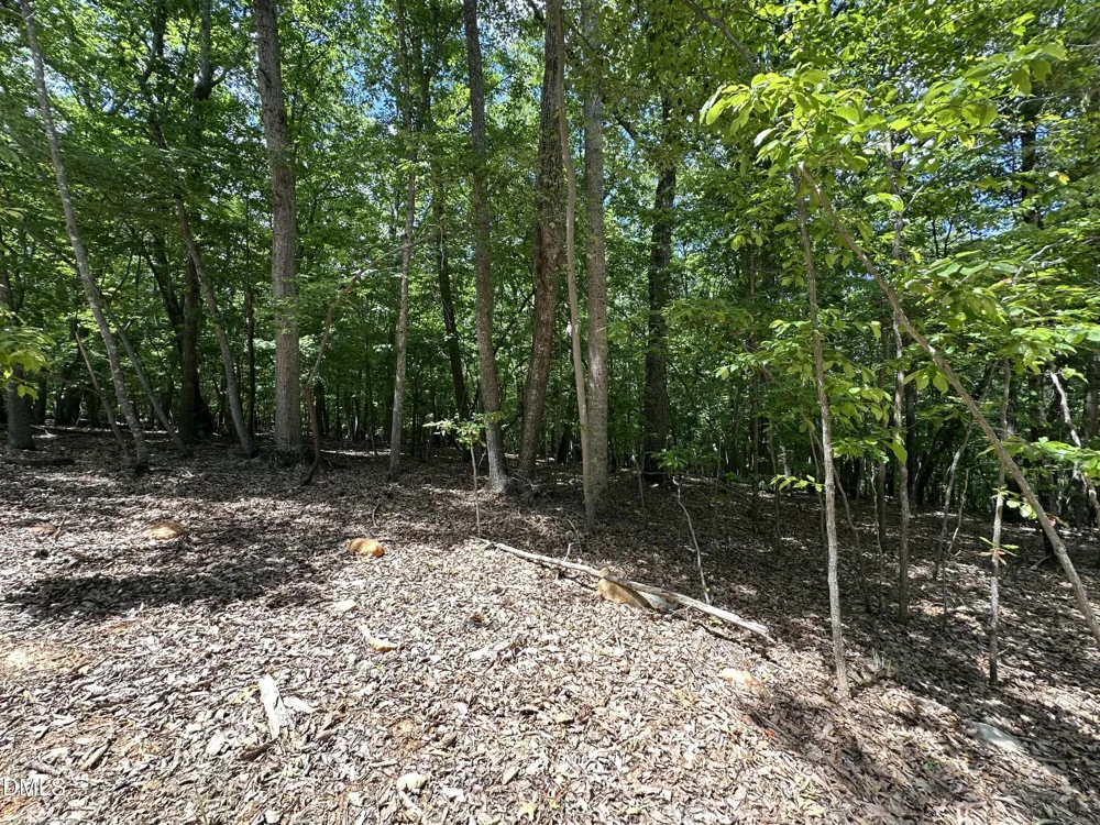 033 Fire Tower Drive Rougemont, NC 27572