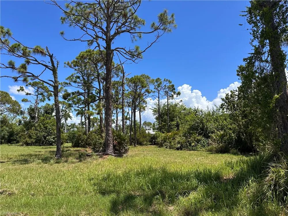 3712 Mango Street St. James City, FL 33956