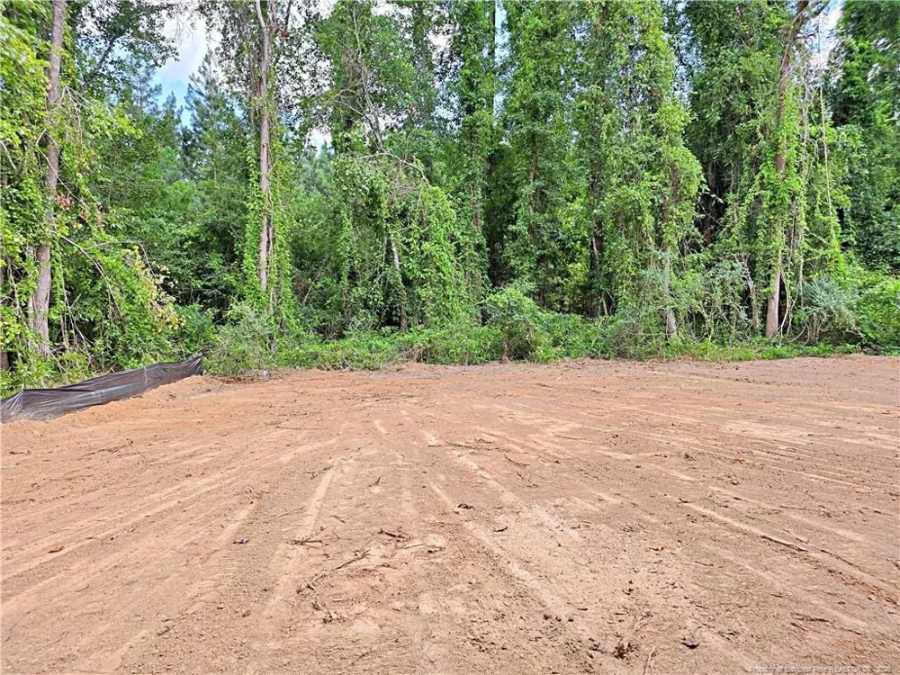 490 Needmore Road Carthage, NC 28327