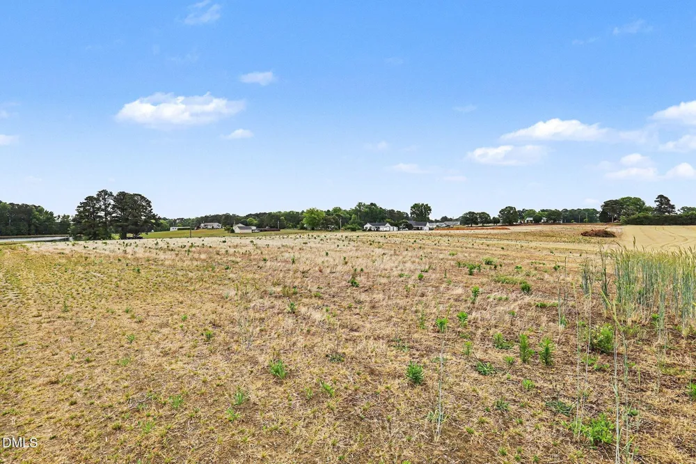 0 Woodall Dairy Road Benson, NC 27504