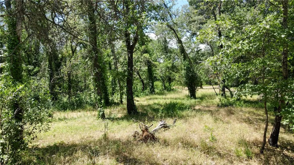 1343 Shady Lane Lakeport, CA 95453