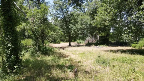 1343 Shady Lane