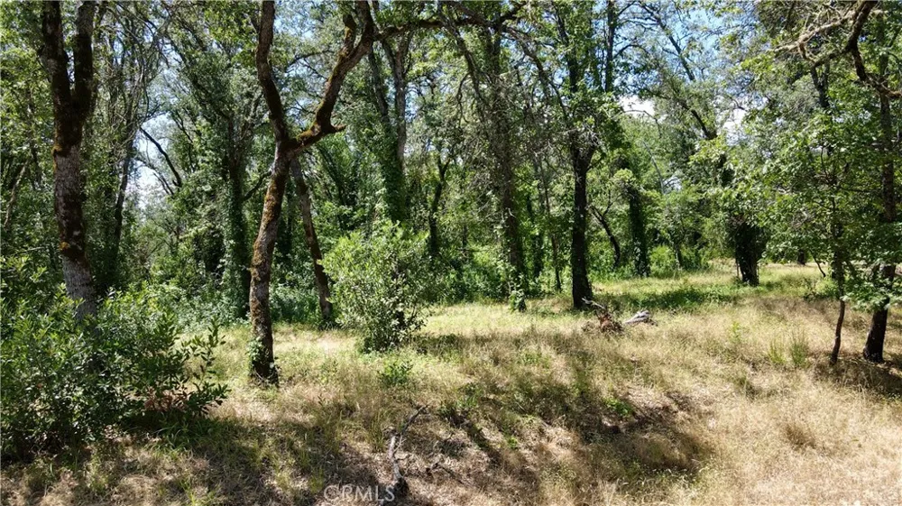 1343 Shady Lane Lakeport, CA 95453