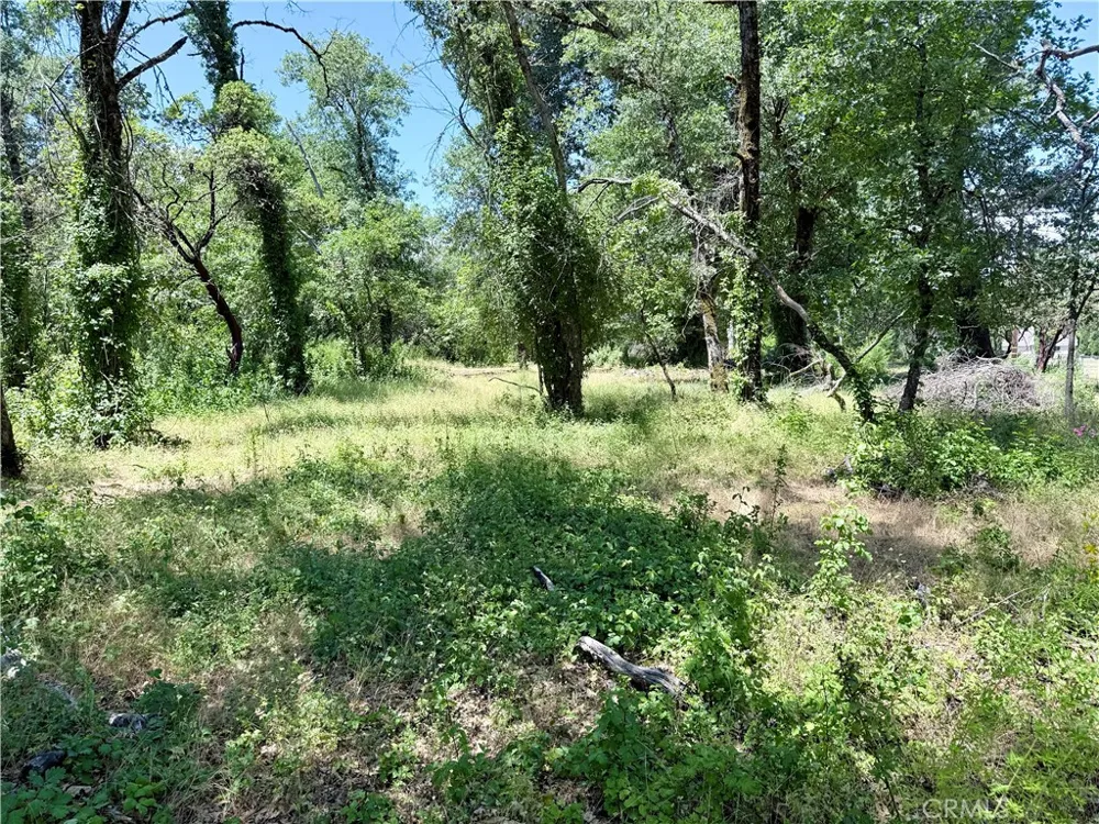 1343 Shady Lane Lakeport, CA 95453