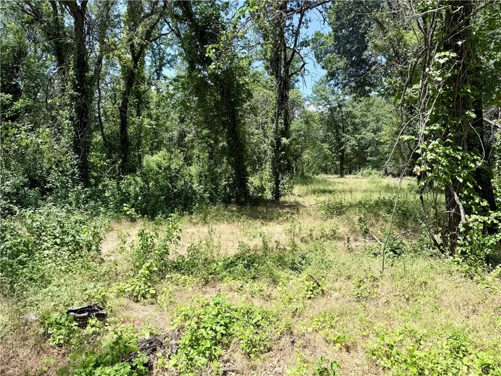 1343 Shady Lane Lakeport, CA 95453