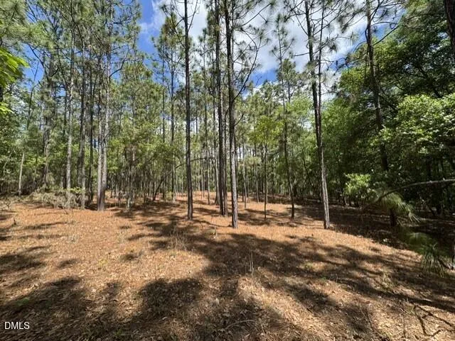 Lot 2 Utley Street Aberdeen, NC 28315