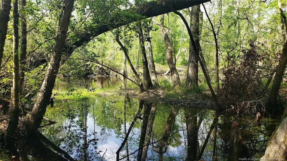 52 Acres River Access Lumberton, NC 28360
