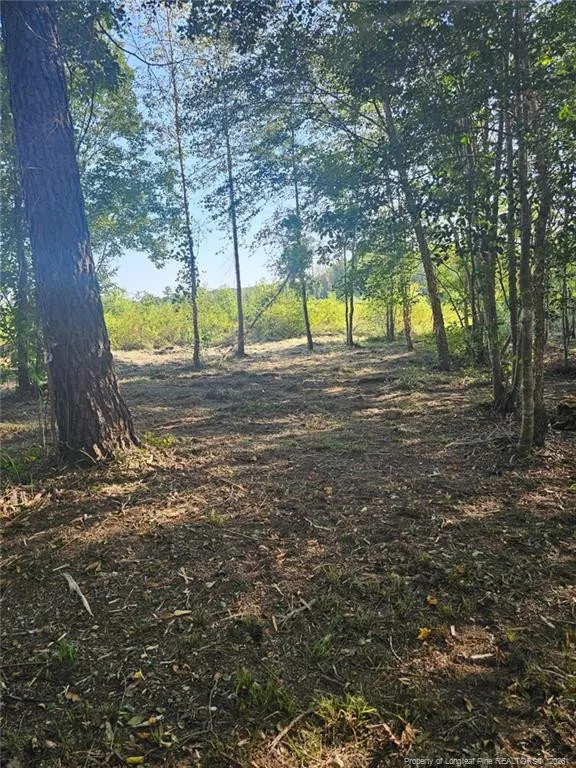 52 Acres River Access Lumberton, NC 28360