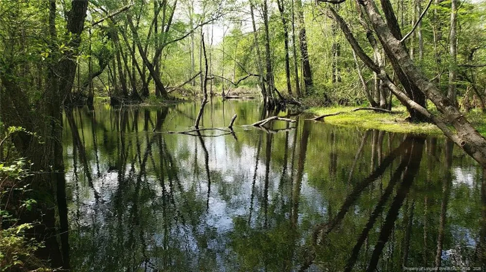 52 Acres River Access Lumberton, NC 28360