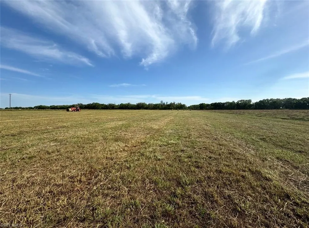 Address Not Shown Wauchula, FL 33873