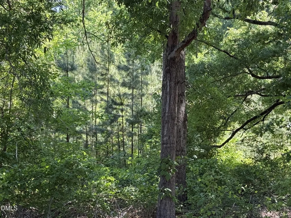 1.5 Ac Lot Country Club Road Roxboro, NC 27574
