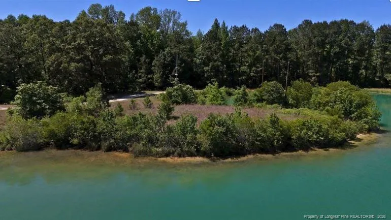 Lee Johnson Road Dunn, NC 28334