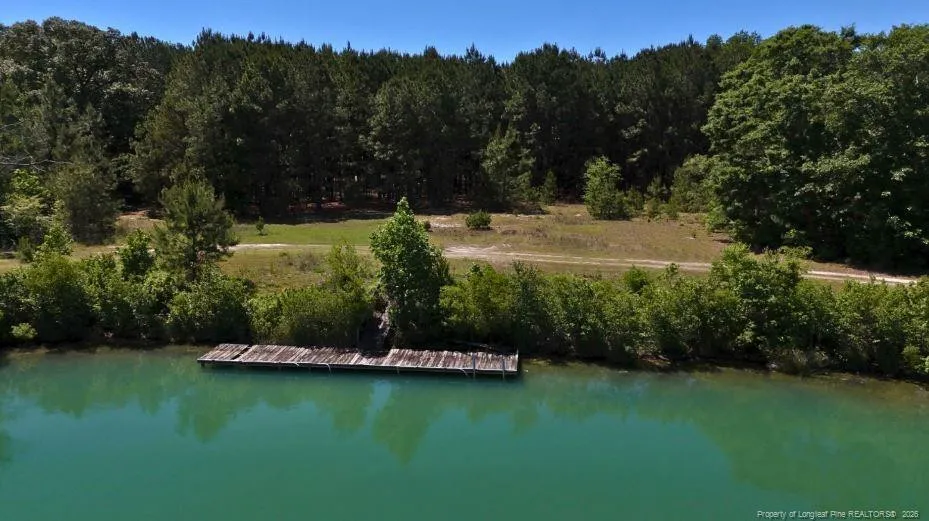 Lee Johnson Road Dunn, NC 28334