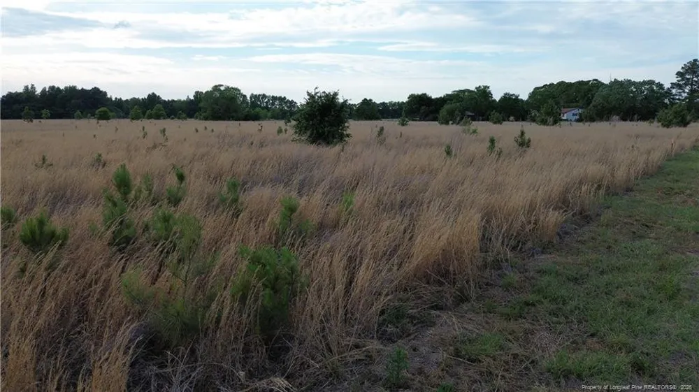 Lot 5 Fairley Road Maxton, NC 28364