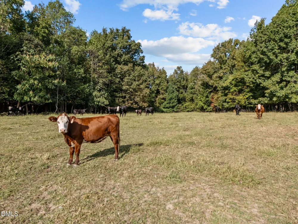 9400 Wheelers Church Road Hurdle Mills, NC 27541