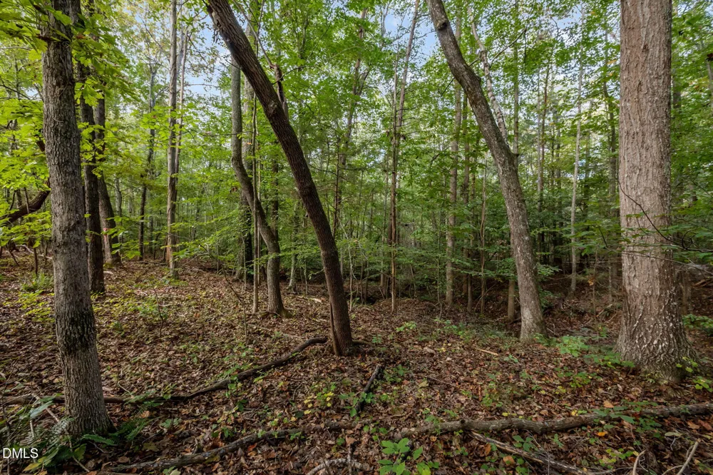 9400 Wheelers Church Road Hurdle Mills, NC 27541