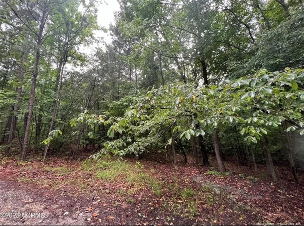 tbd Buggy Drive W Carthage, NC 28327