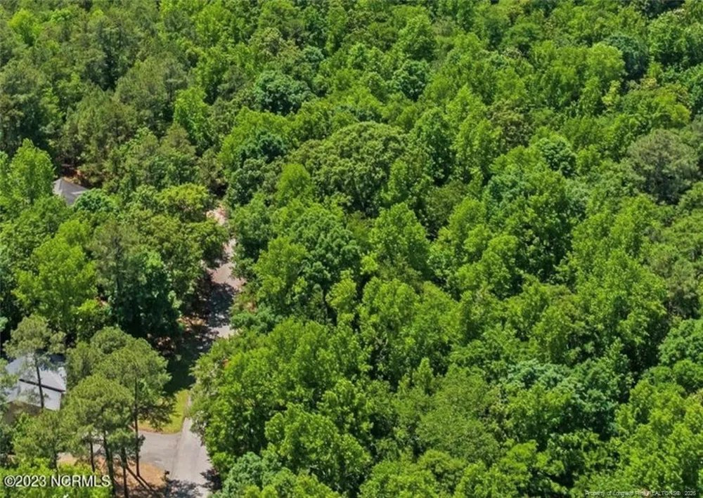 tbd Buggy Drive W Carthage, NC 28327