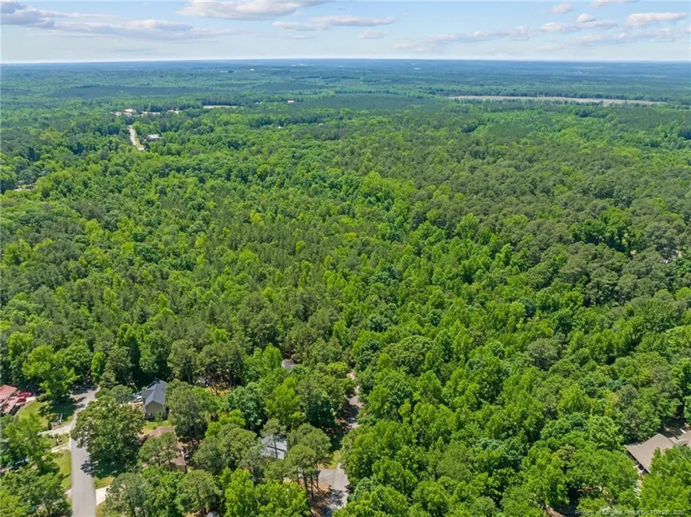 tbd Buggy Drive W Carthage, NC 28327