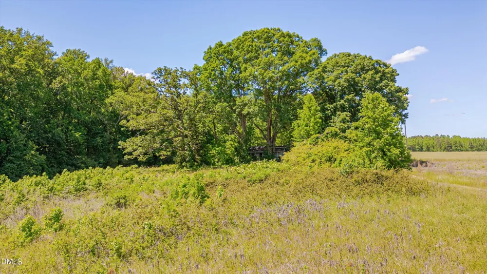 3454 Shearin Road Whitakers, NC 27891
