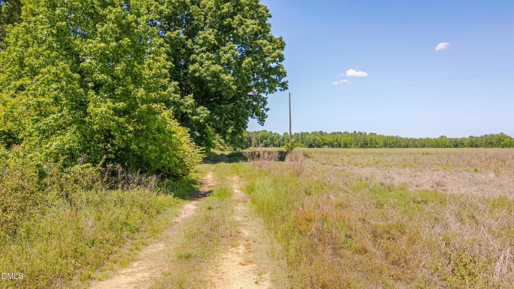 3454 Shearin Road Whitakers, NC 27891