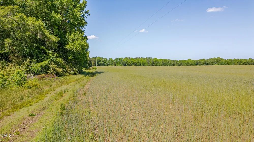 3454 Shearin Road Whitakers, NC 27891