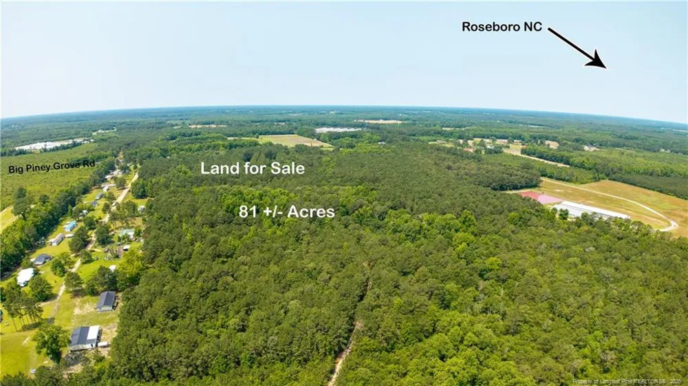 Big Piney Grove Road Clinton, NC 28328