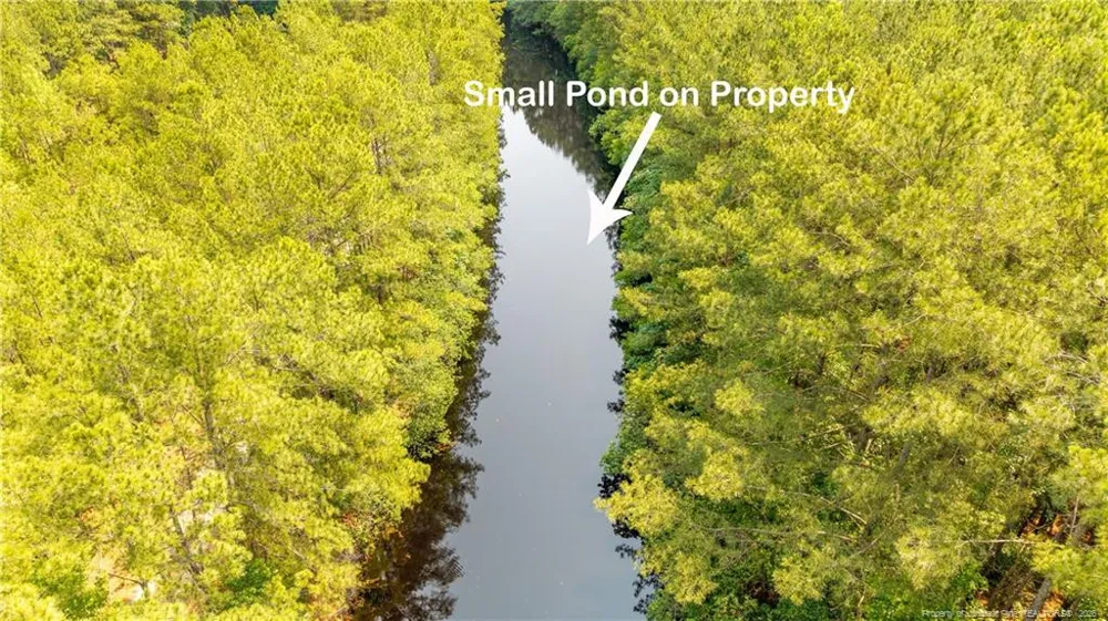 Big Piney Grove Road Clinton, NC 28328
