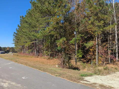 0 Sandy Plains Lane