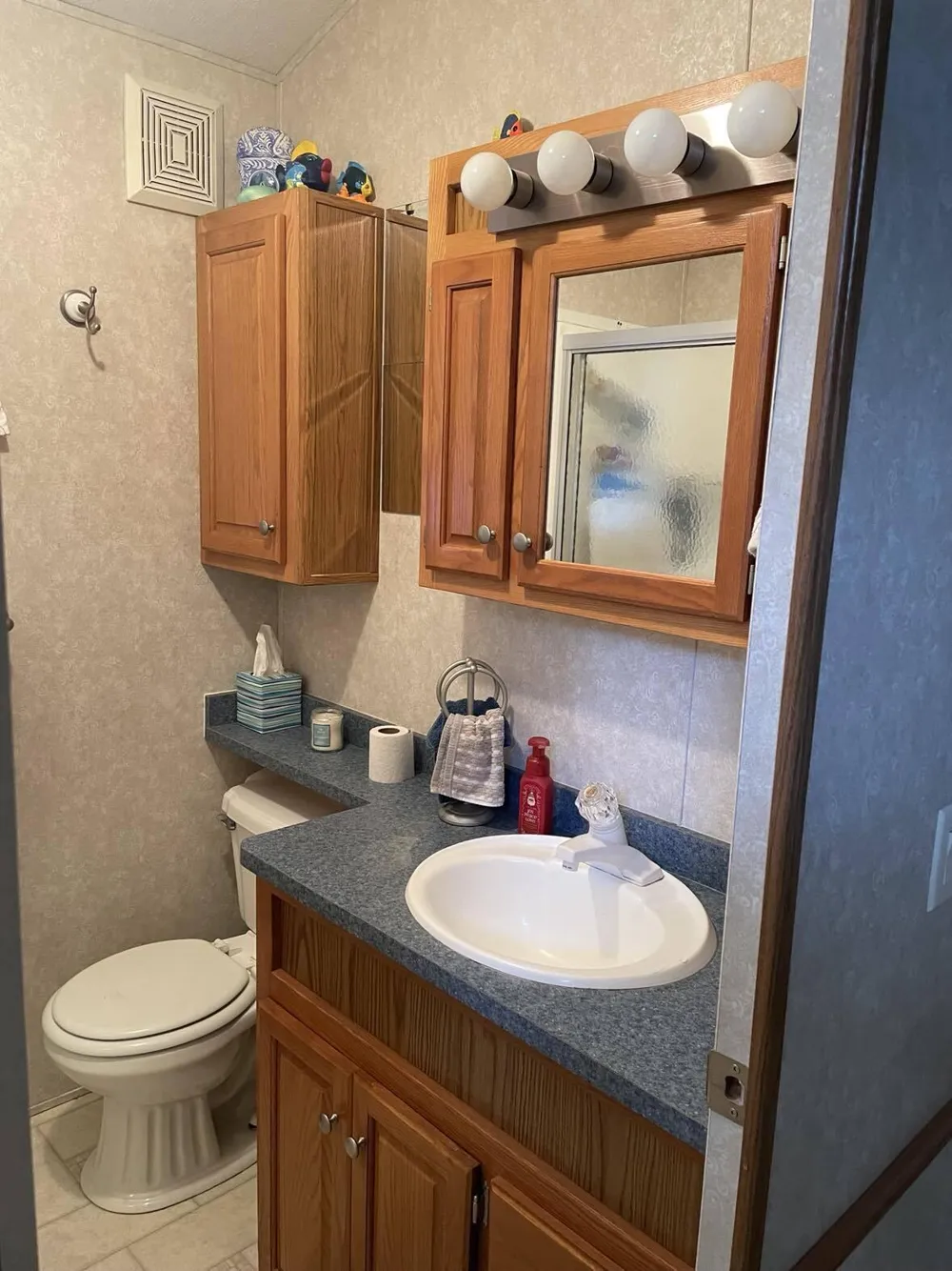 8091 Carriage Lane Morton Township, MI 49336