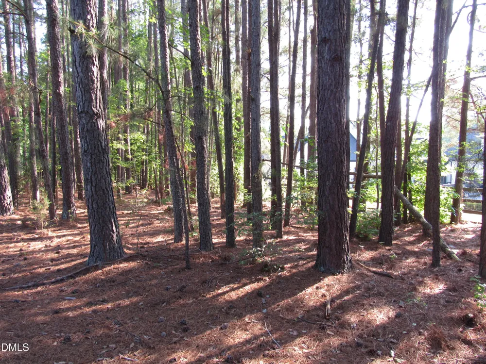 0 Martin Creek Drive Wake Forest, NC 27587