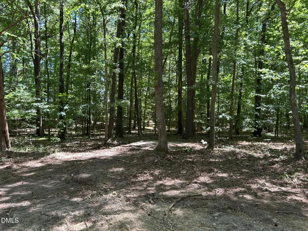 00 Holly Circle Chapel Hill, NC 27514