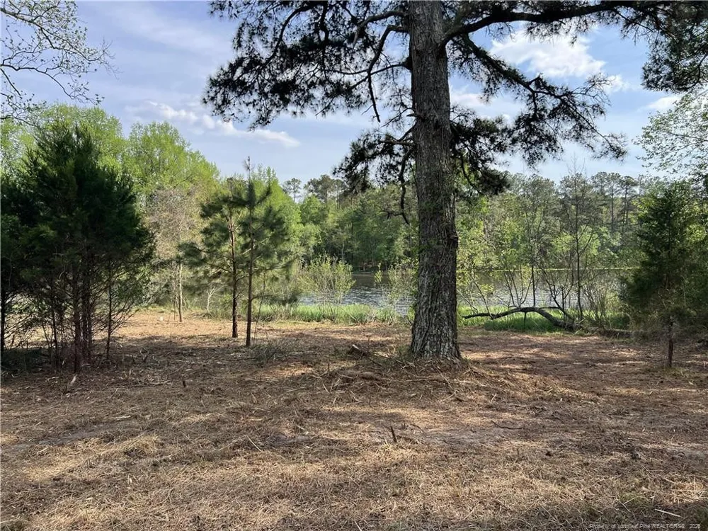 tbd (9 acres) NC 27 W Lillington, NC 27546