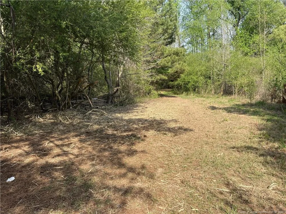 tbd (9 acres) NC 27 W Lillington, NC 27546