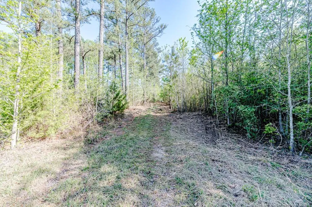 tbd (9 acres) NC 27 W Lillington, NC 27546