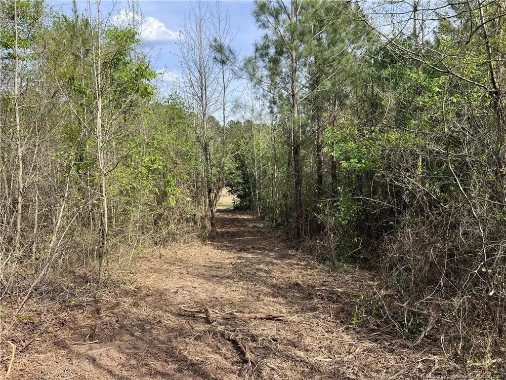 tbd (9 acres) NC 27 W Lillington, NC 27546