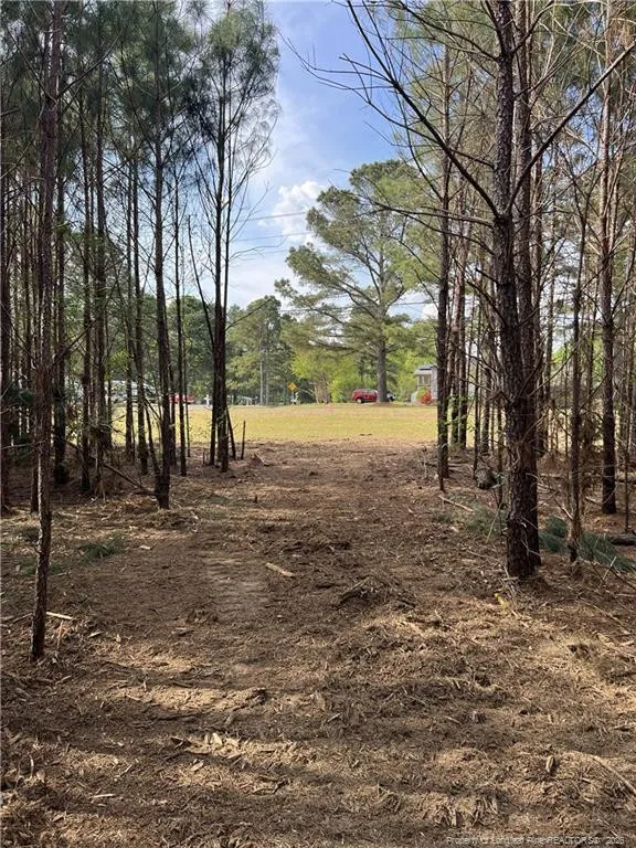tbd (9 acres) NC 27 W Lillington, NC 27546