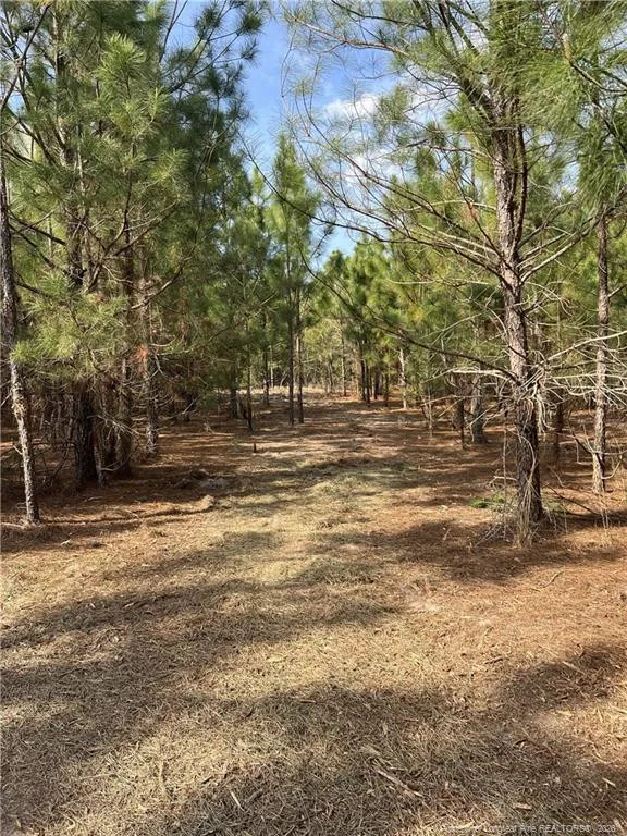 tbd (9 acres) NC 27 W Lillington, NC 27546