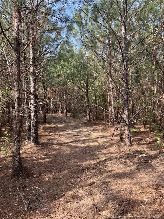 tbd (9 acres) NC 27 W Lillington, NC 27546