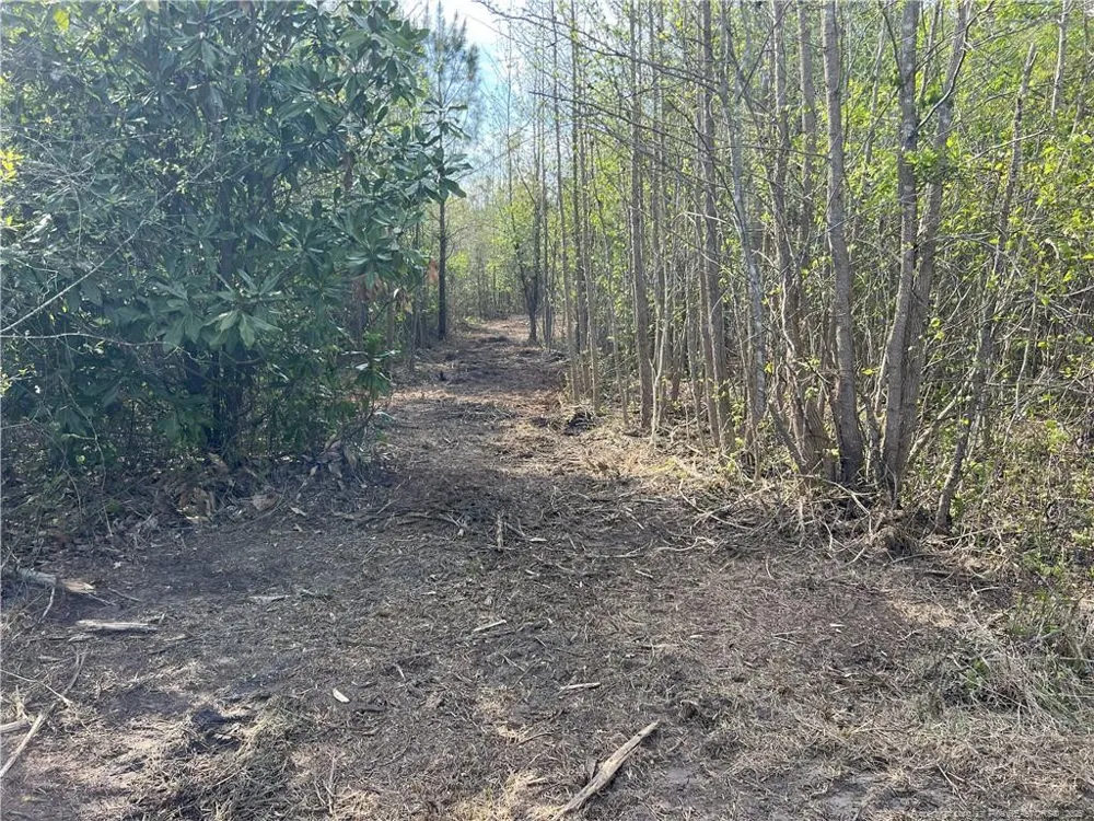 tbd (9 acres) NC 27 W Lillington, NC 27546