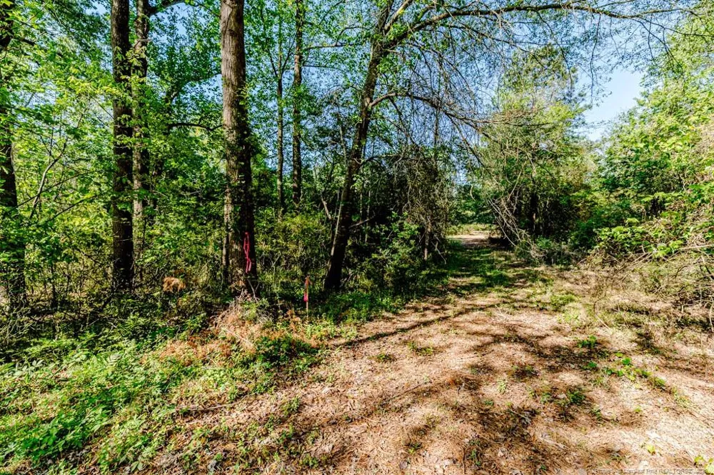 tbd (9 acres) NC 27 W Lillington, NC 27546